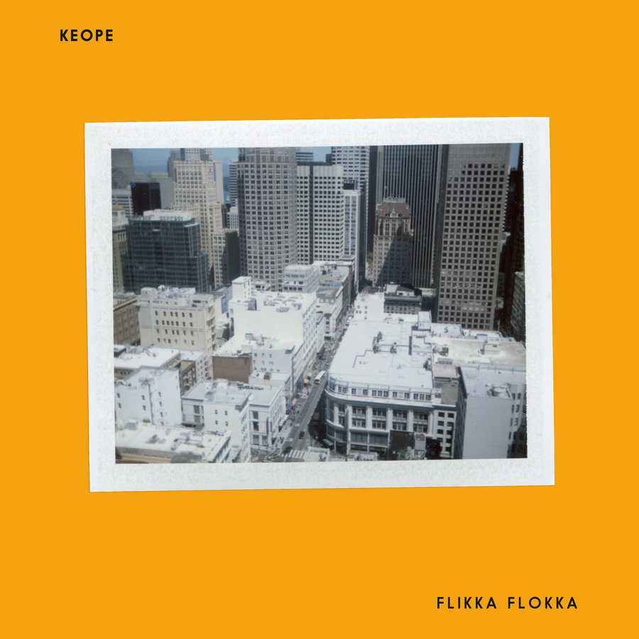 Music: FLIKKA FLOKKA (Vinyl, BIGAMO15)