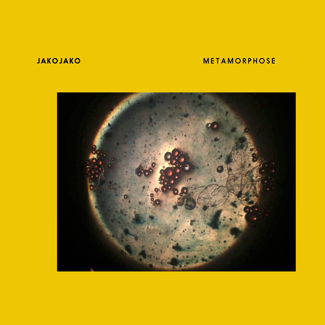 Music: Metamorphose (Vinyl, Bigamo12)