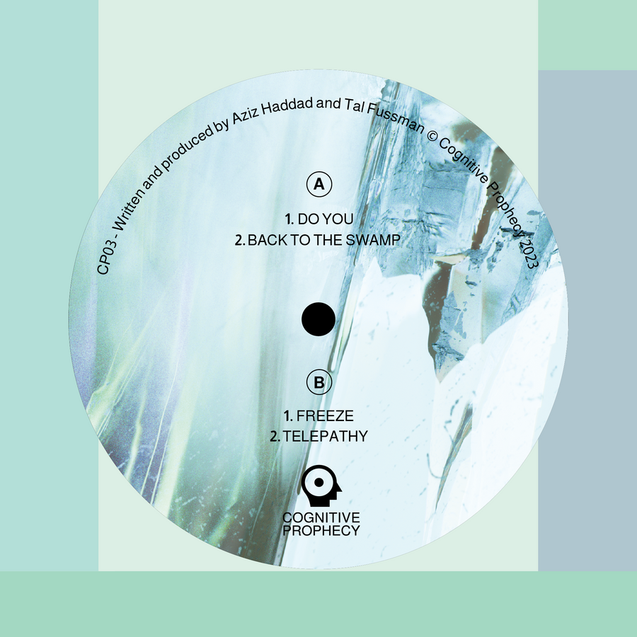 Music: Do You EP (Vinyl, CP03)